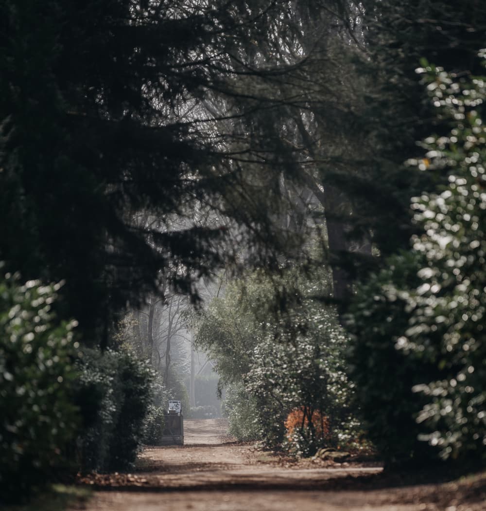 Header afbeelding